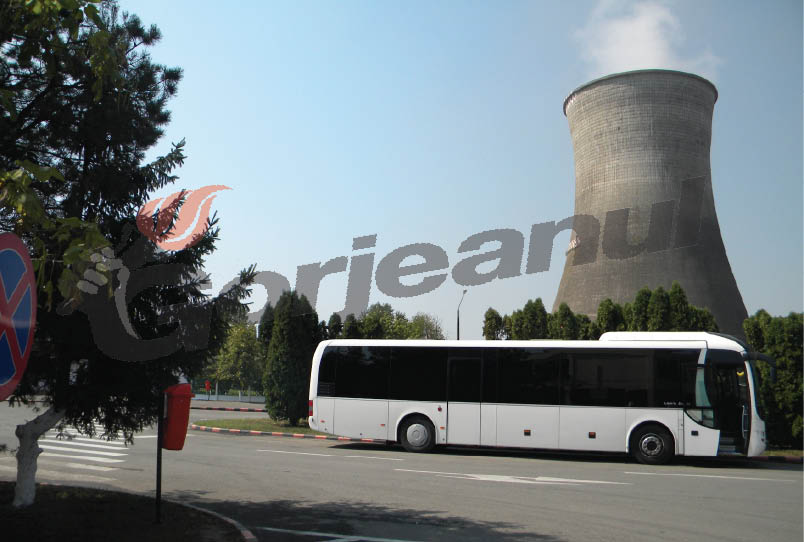 CEO îi bagă 2,47 de milioane de lei în buzunarul milionarului evazionist Bădescu