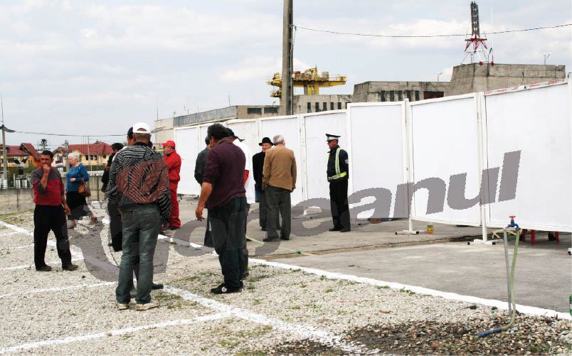 Ieri s-au sacrificat primii miei în Piaţa Litovoi