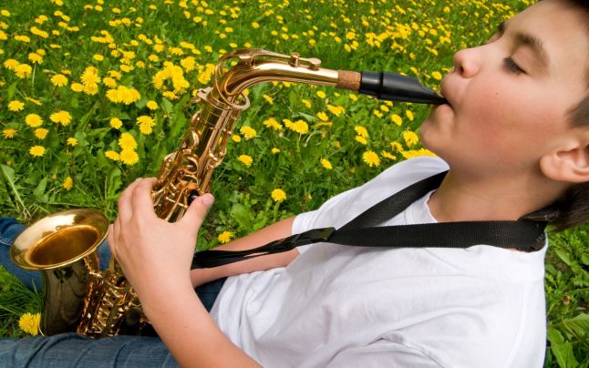 Burse pentru tinerii muzicieni