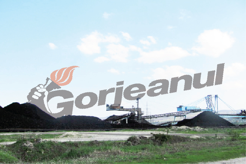 În jur de 8000 de tone de cărbune CEO, furnizat spre RAAN