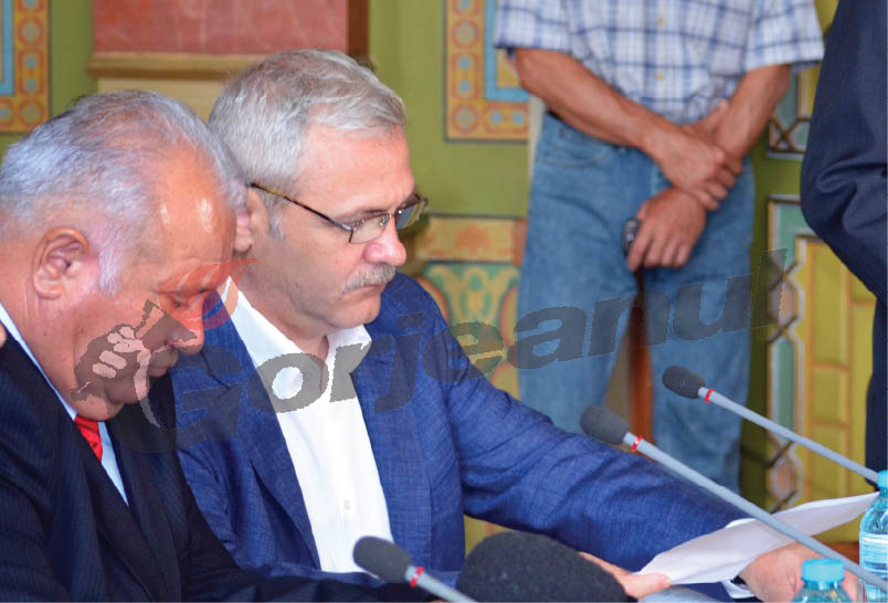 Liviu Dragnea rămâne titular în PSD