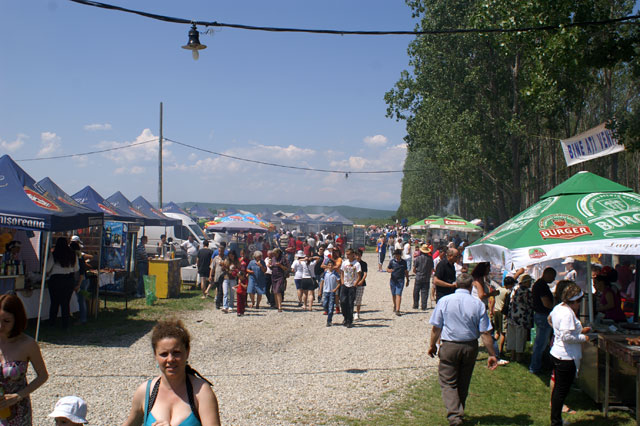 Pregătiri la Târgu-Jiu pentru Sărbătoarea Narciselor