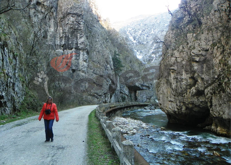 Workshop la Padeş şi Runcu pentru conservarea ariilor naturale protejate