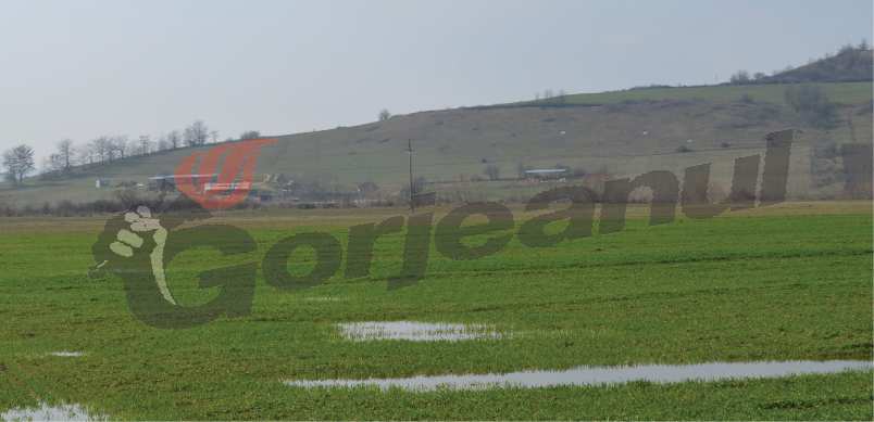 Bani pentru agricultorii afectaţi de inundaţii