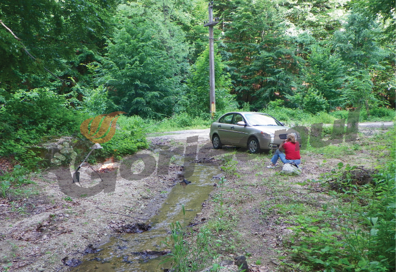 Atitudini estivale – Povestea unui pârâiaş