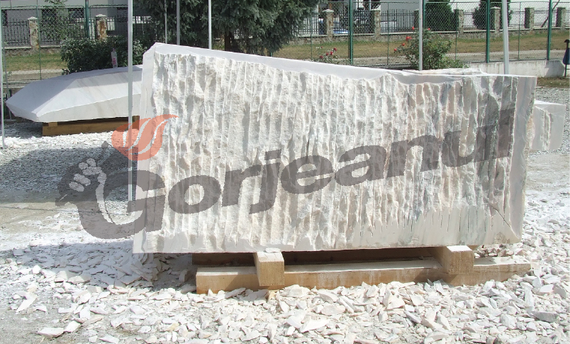 Sculpturi de 140.000 de lei, în administrarea Centrului Brâncuşi