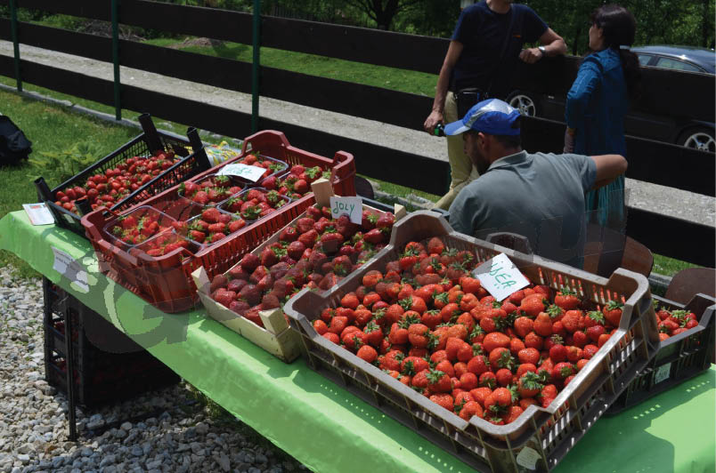 Căpşunile de Polovragi, vedete şi în lădiţe şi în tarte