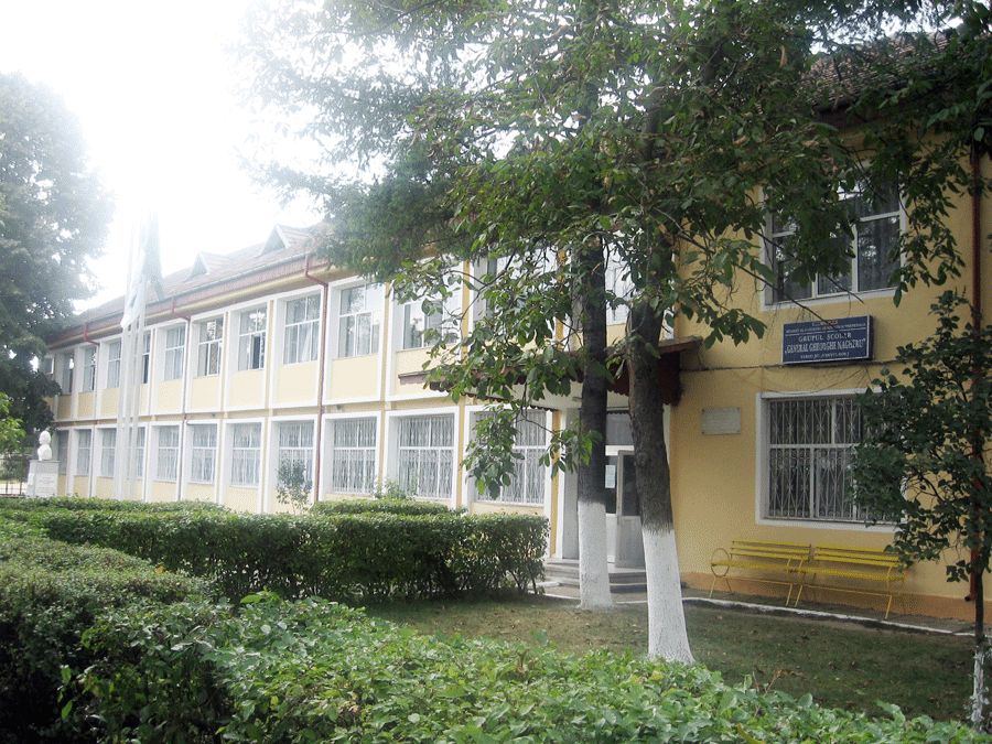 Certificat de Şcoală Europeană pentru trei licee din Gorj