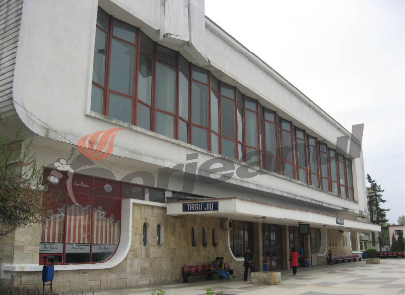 Cârciumaru vrea fonduri pentru reabilitarea Gării Târgu-Jiu