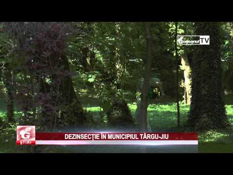 DEZINSECȚIE ÎN MUNICIPIUL TÂRGU-JIU