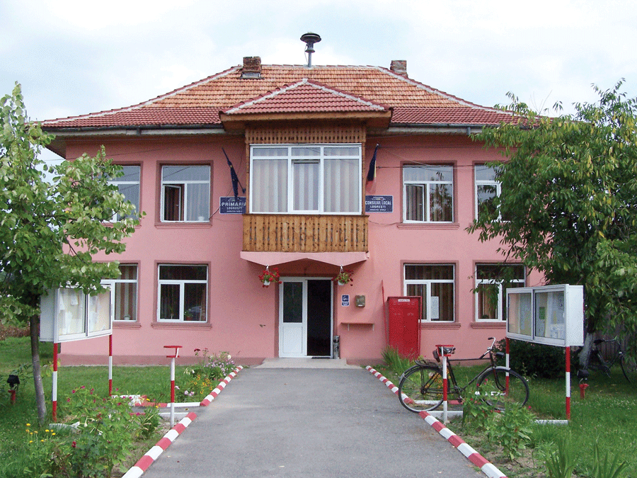 Primăria Logreşti caută referenţi