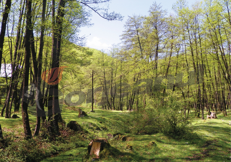 Ziua Mondială a Mediului, marcată la Gorj