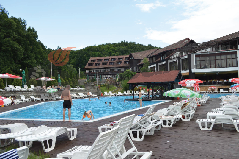 Viespi în loc de apă la duşuri şi cabine, la piscina senatorului Dian