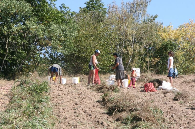 Noi fonduri pentru agricultorii gorjeni