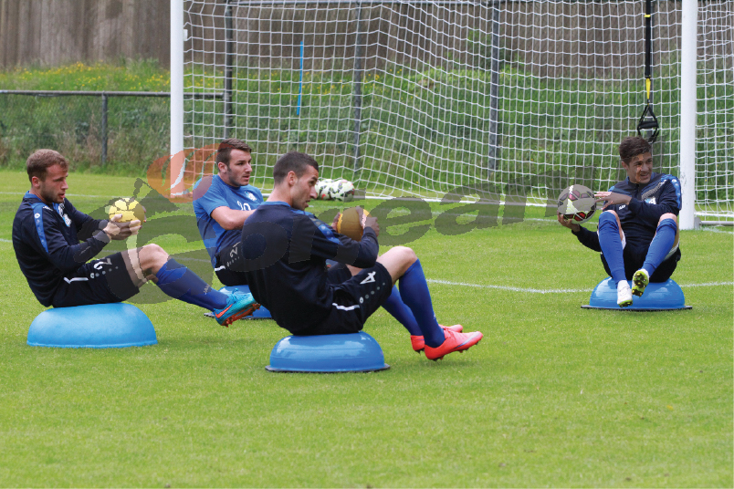 Din nou la Târgu Jiu