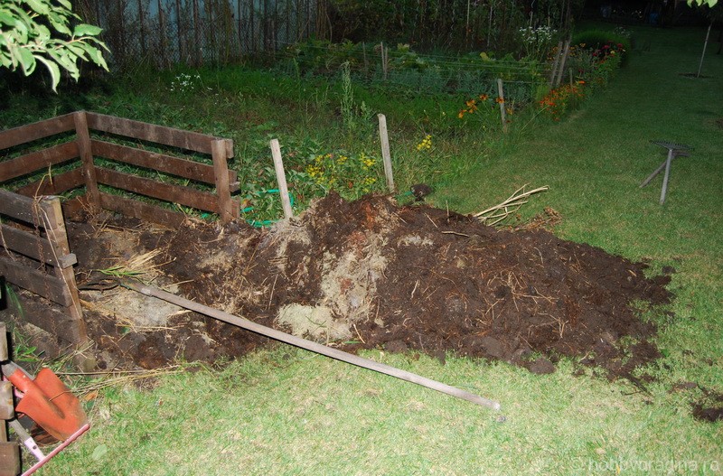 Producerea legumelor ecologice