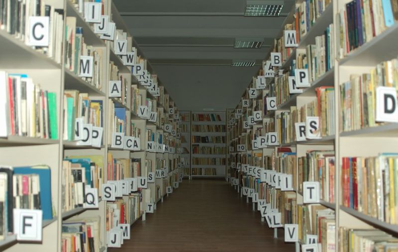 Bibliotecarii, invitați la un workshop pe tema migrației