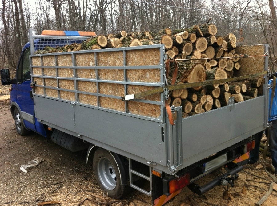 Amendaţi pentru că transportau lemne fără acte