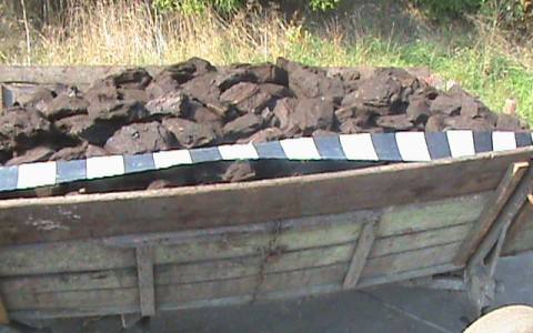 Tânără cercetată pentru furt de cărbune