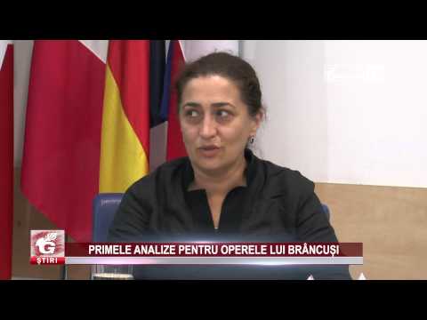 PRIMELE ANALIZE PENTRU OPERELE LUI BRÂNCUȘI