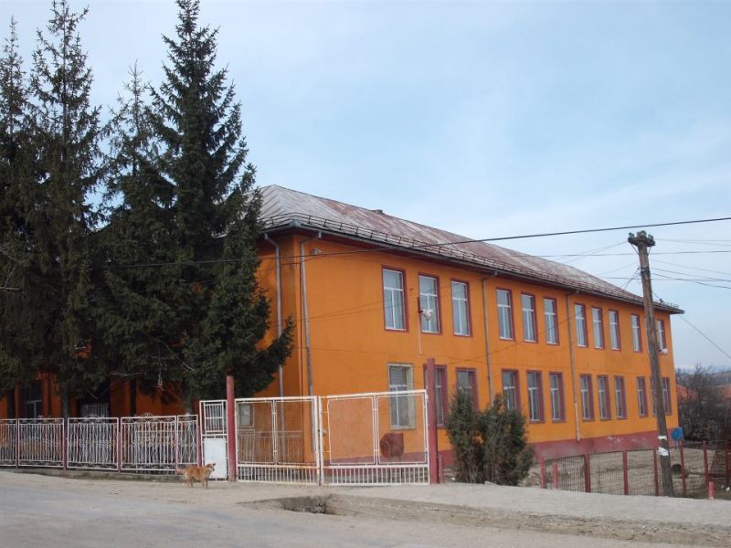 Tensiuni interne pentru numirile în posturile de conducere de la Liceul Roşia de Amaradia