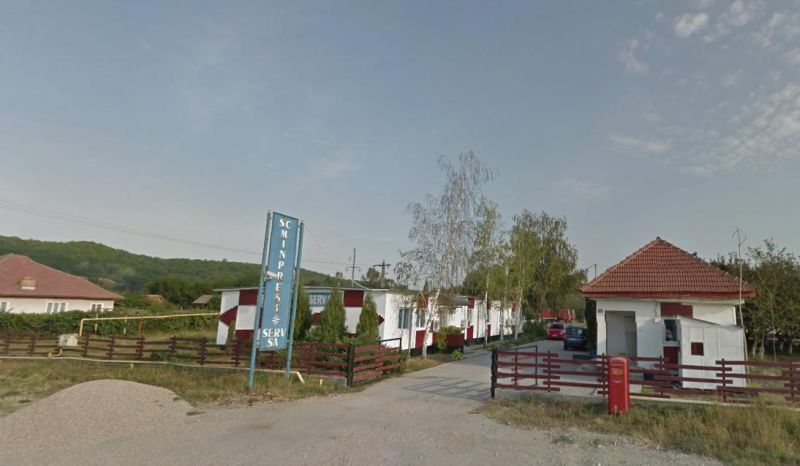 Plantare de puieţi, în loc de şomaj tehnic la Minprest