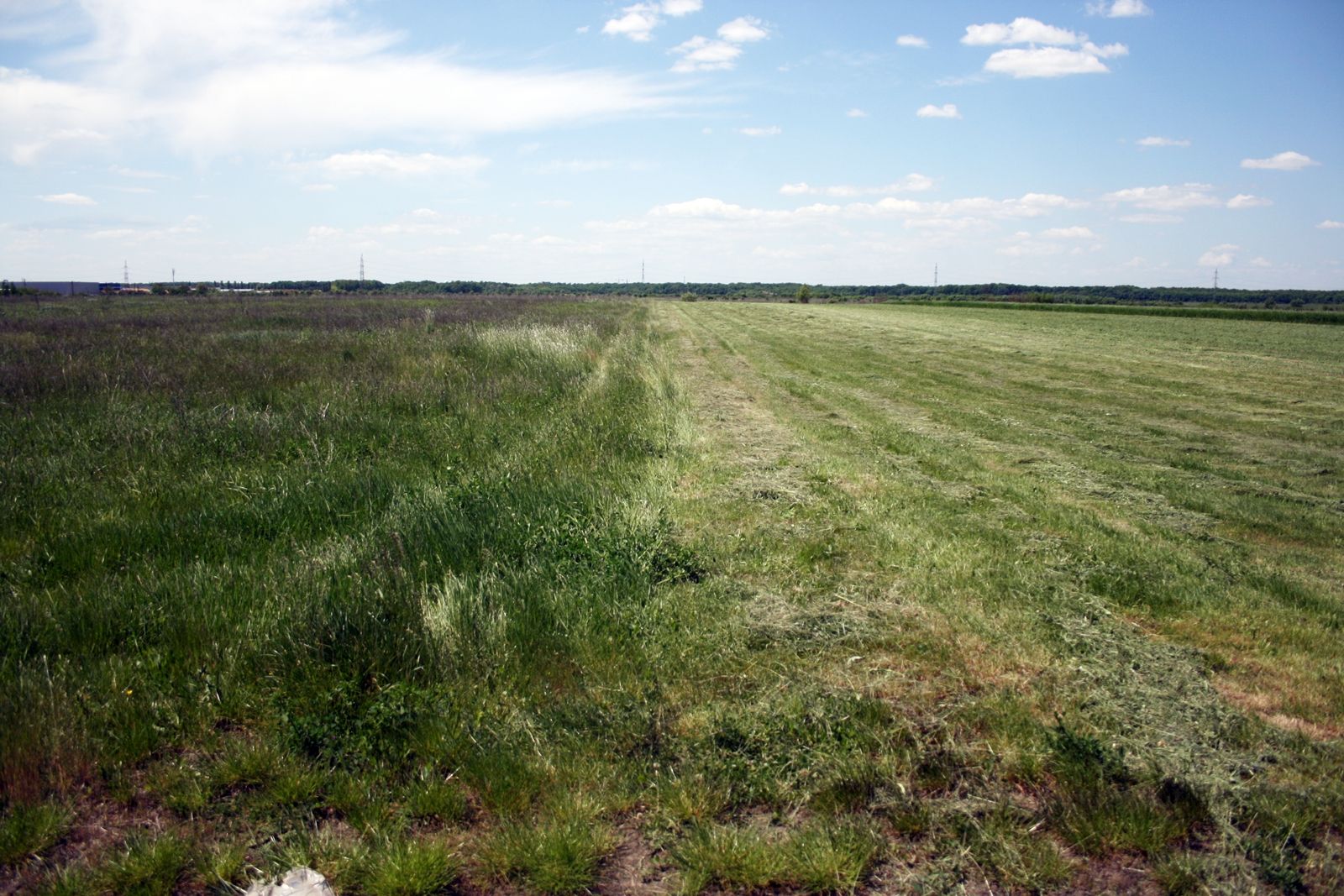 Monitorizări ale inspectorilor APIA pentru cererile unice pe suprafaţă