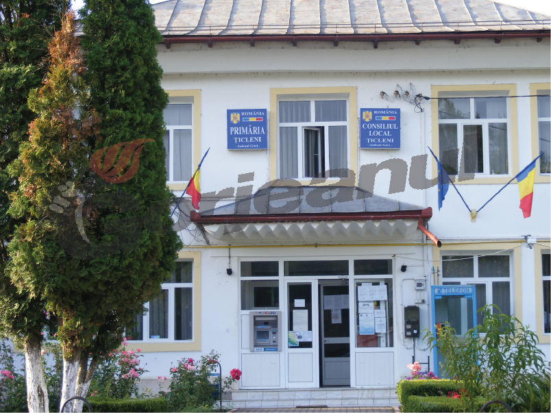 Auditor pentru Primăria Ţicleni