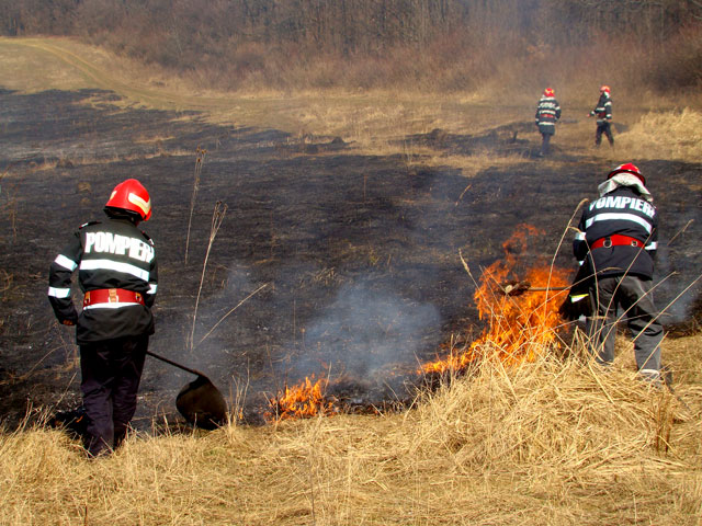 Tone întregi de plante furajere, mistuite de flăcări
