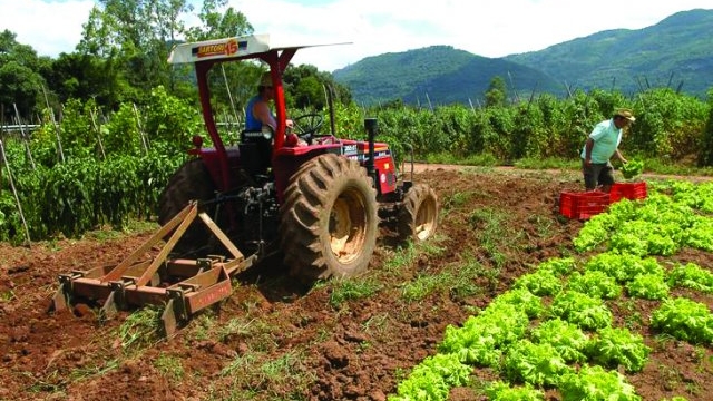 Sute de joburi în agricultura din UE