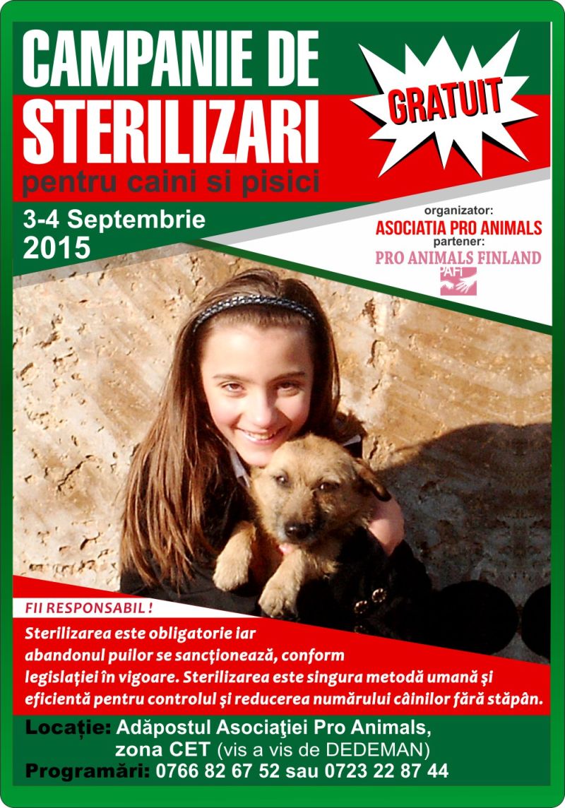 Sterilizări gratuite pentru câini şi pisici