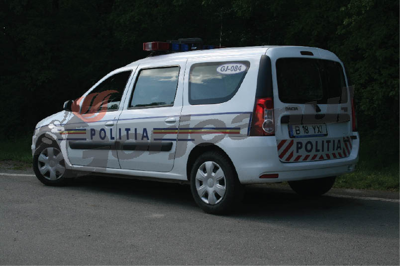 Dosare penale pentru infracţiuni rutiere