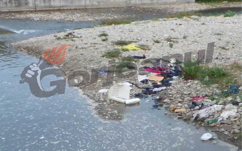 Cugetări caniculare – Ecologia şi „Trasul de mânecă”