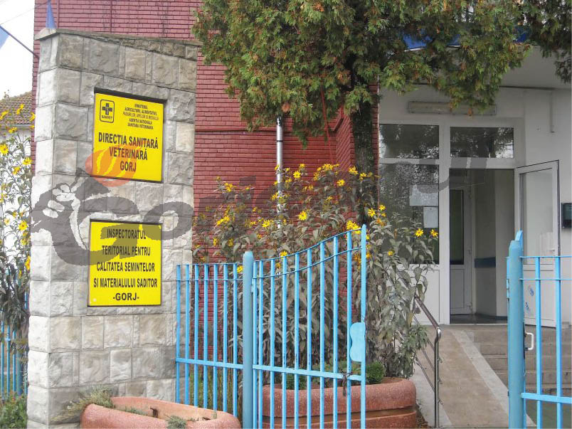Direcţia Sanitar-Veterinară Gorj angajează inginer