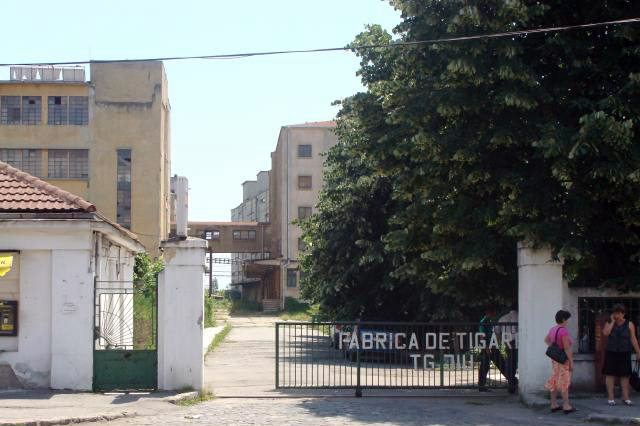 Dosare penale pentru tăiere ilegală şi sustragere de material lemnos