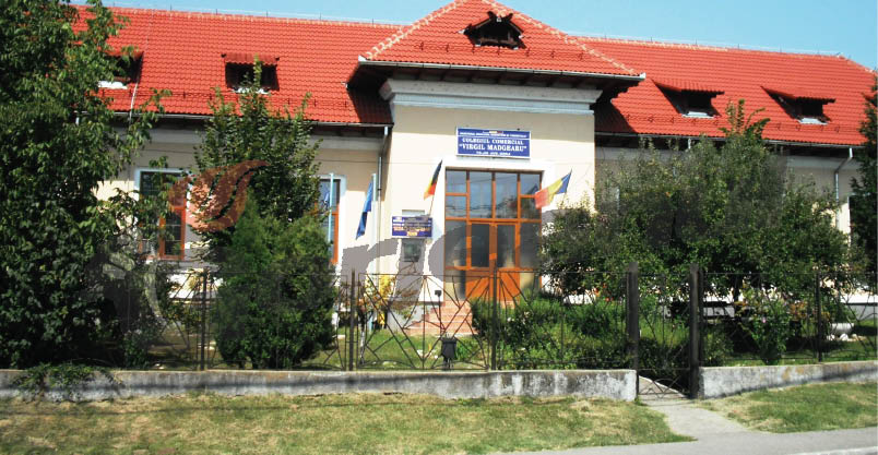 Colegiul „Virgil Madgearu” angajează un muncitor