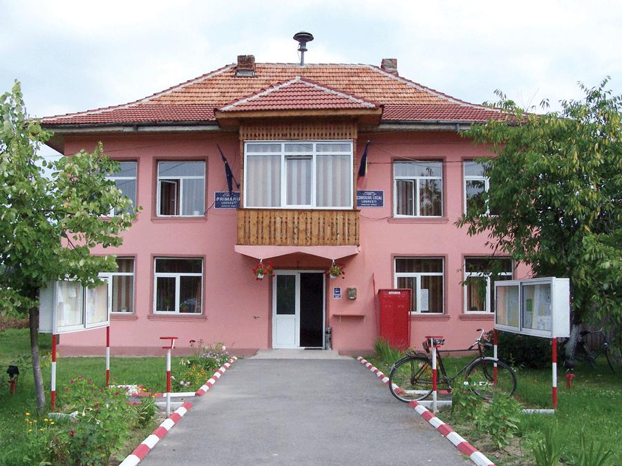 Concurs reluat la Primăria Logreşti