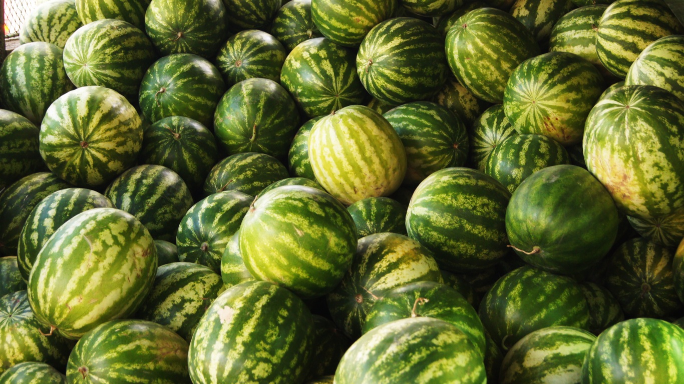 Sute de kilograme de pepene, confiscate de poliţişti