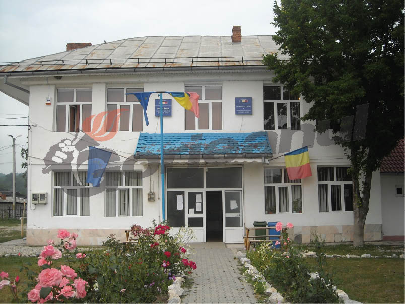 Galben în loc de roşu la Primăria Bîlteni