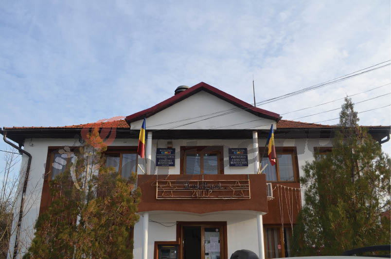 Se caută şofer la Primăria Bustuchin