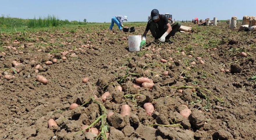 Ultimele zile pentru vizarea carnetelor de rentier