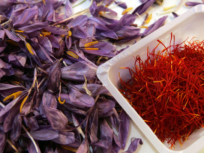 Plante medicinale din Farmacia Domnului / Şofranul şi remediile sale de excepţie, inclusiv în cancere!