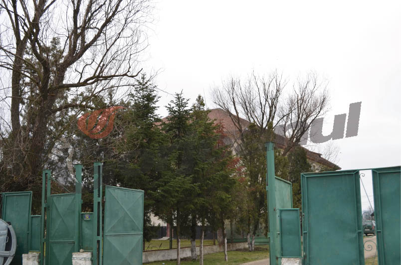 Zeci de cazuri confirmate în trimestrul II, Numărul bolnavilor psihic creşte într-un ritm alarmant