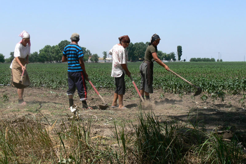 10.572 de zilieri pentru Gorj