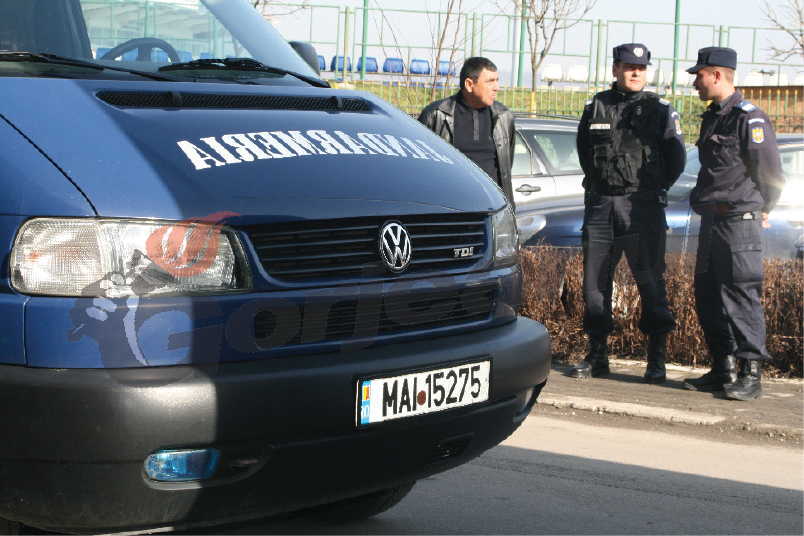 Amenzi pentru tăieri ilegale de material lemnos