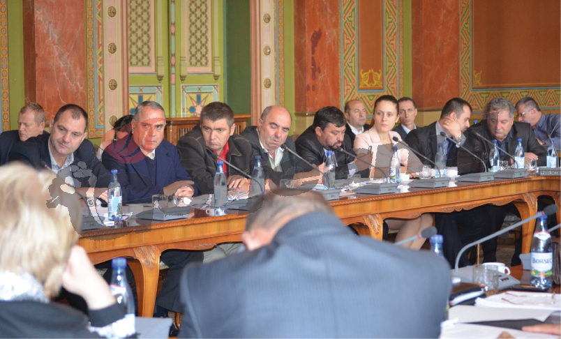 Liberalii i-au dat “de îndată” votul lui Călinoiu