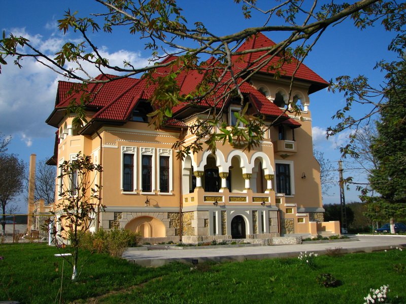 Creţan acuză: Viitoarele disponibilizări din CEO, trasate pe şestache de delegaţia Băncii Mondiale la Casa Danielescu