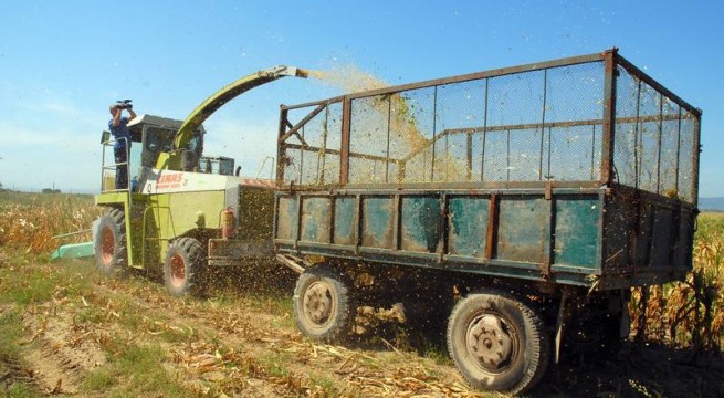 Fermierii gorjeni, verificaţi de patru echipe de control ale APIA
