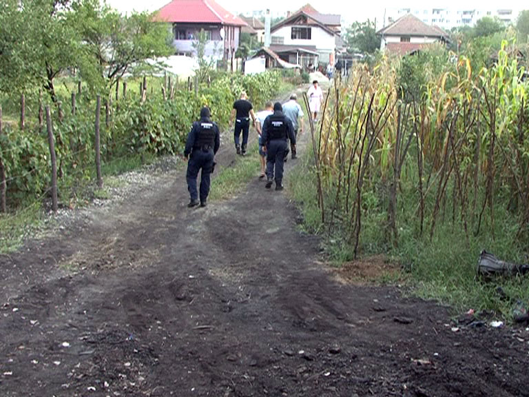 Hoți de cărbune condamnați