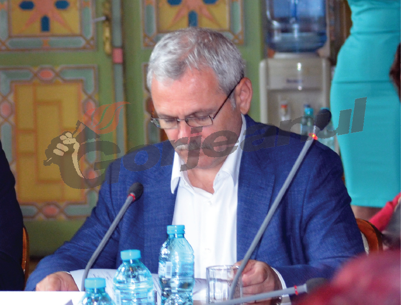 PSD Gorj, vot unanim pentru Dragnea